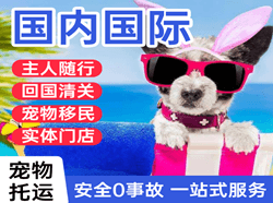 哈尔滨平房机场货运国际宠物托运 【国